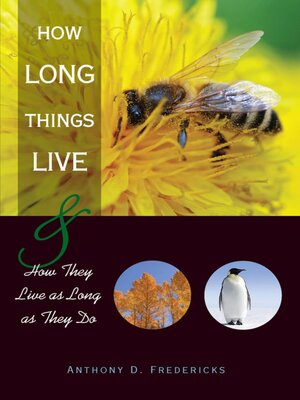 cover image of How Long Things Live